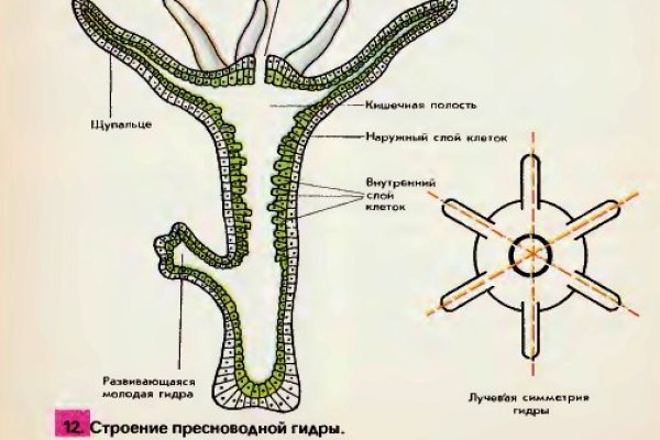 Kraken даркнет что это