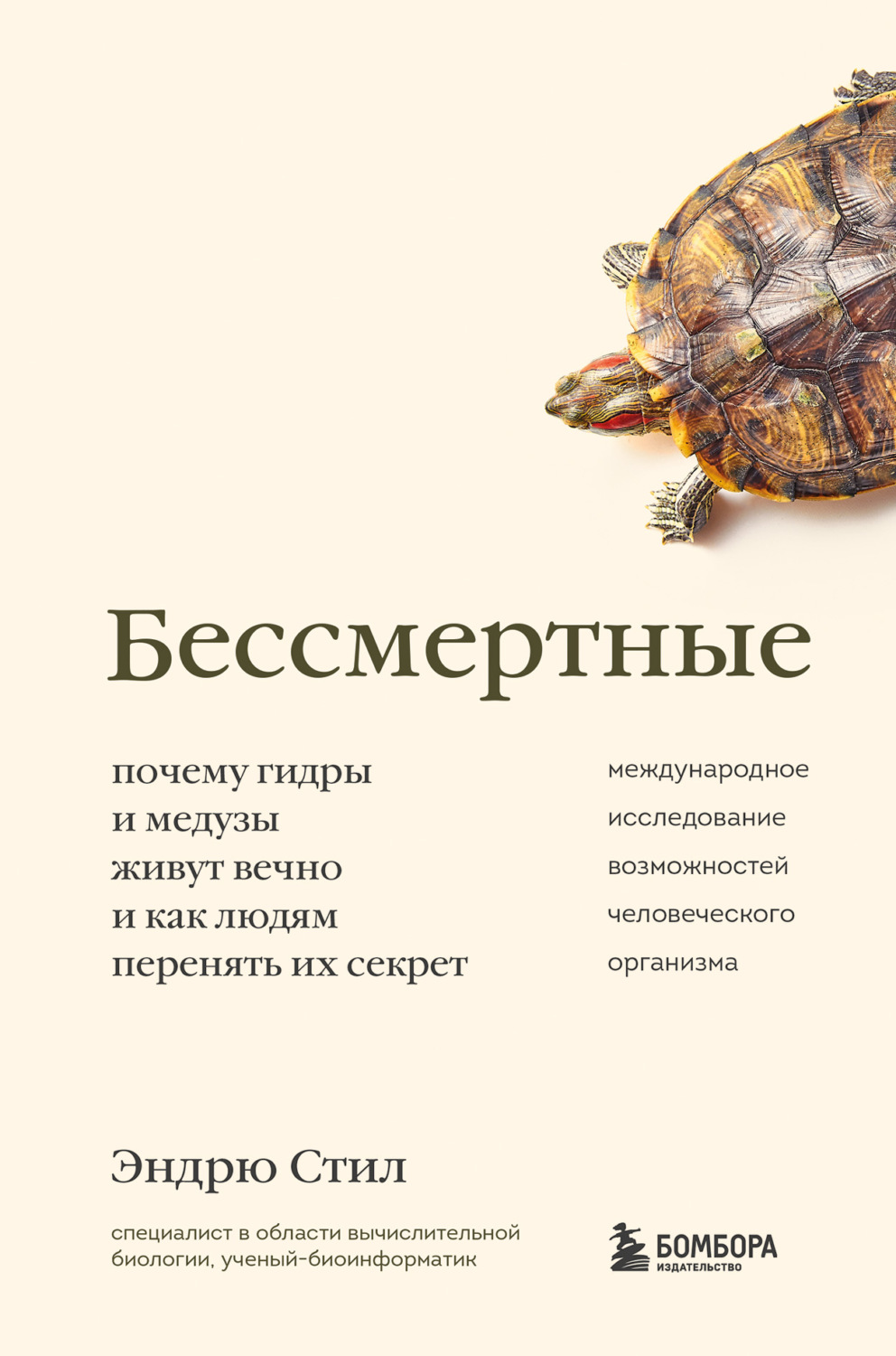 Kraken ссылка зеркало рабочее